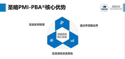 圣略咨询 项目管理中一项至关重要的能力 商业分析