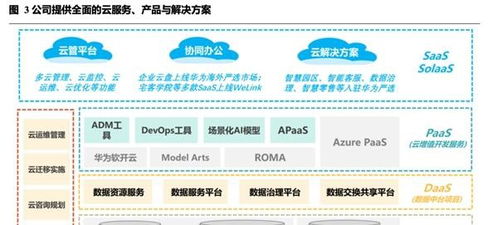 中国软件国际与中国埃森哲 深度解析企业管理咨询的智慧融合