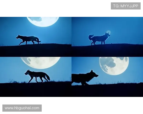 狼夜：当孤独与野性在黑暗中交织